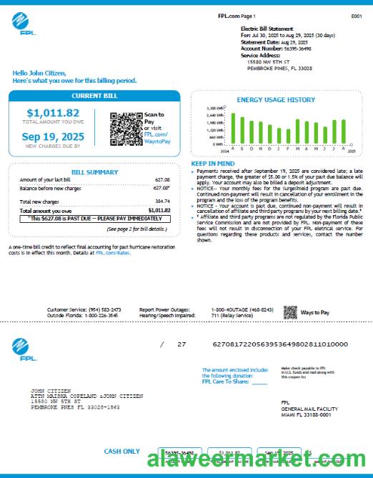 USA FPL utility bill template in Word and PDF formats, version 4
